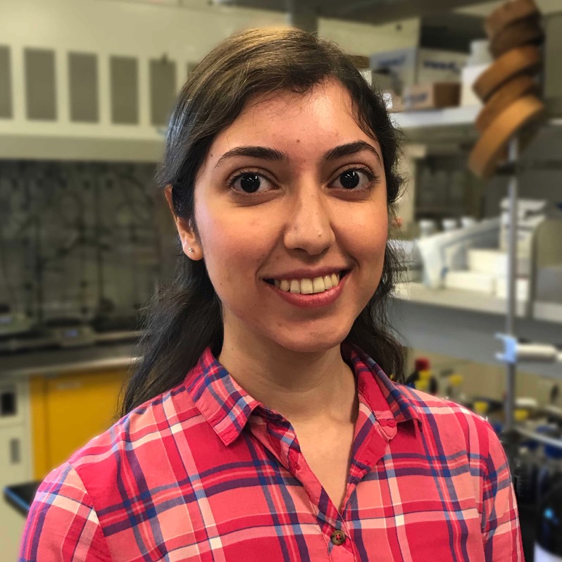 Stacks Image p3498_n9