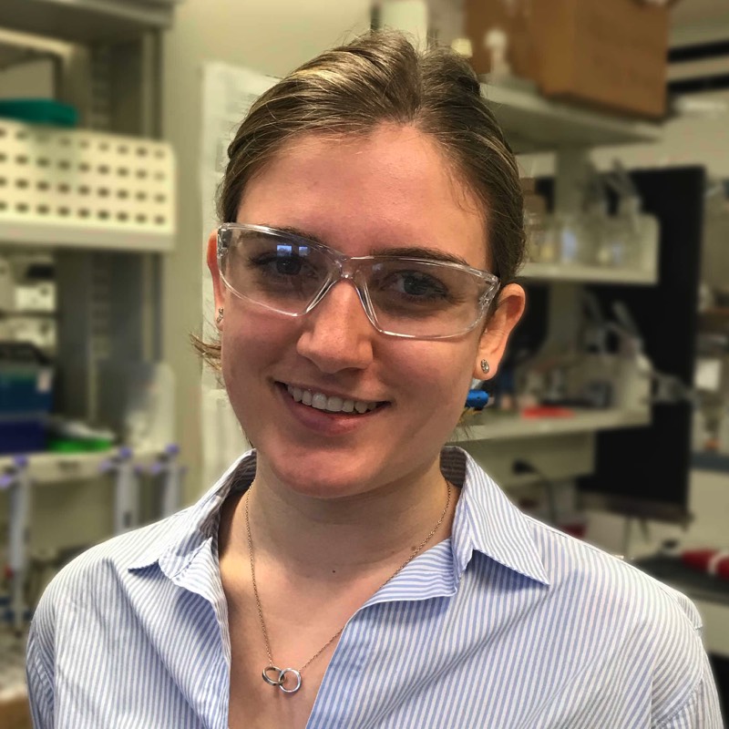 Stacks Image p521_n3