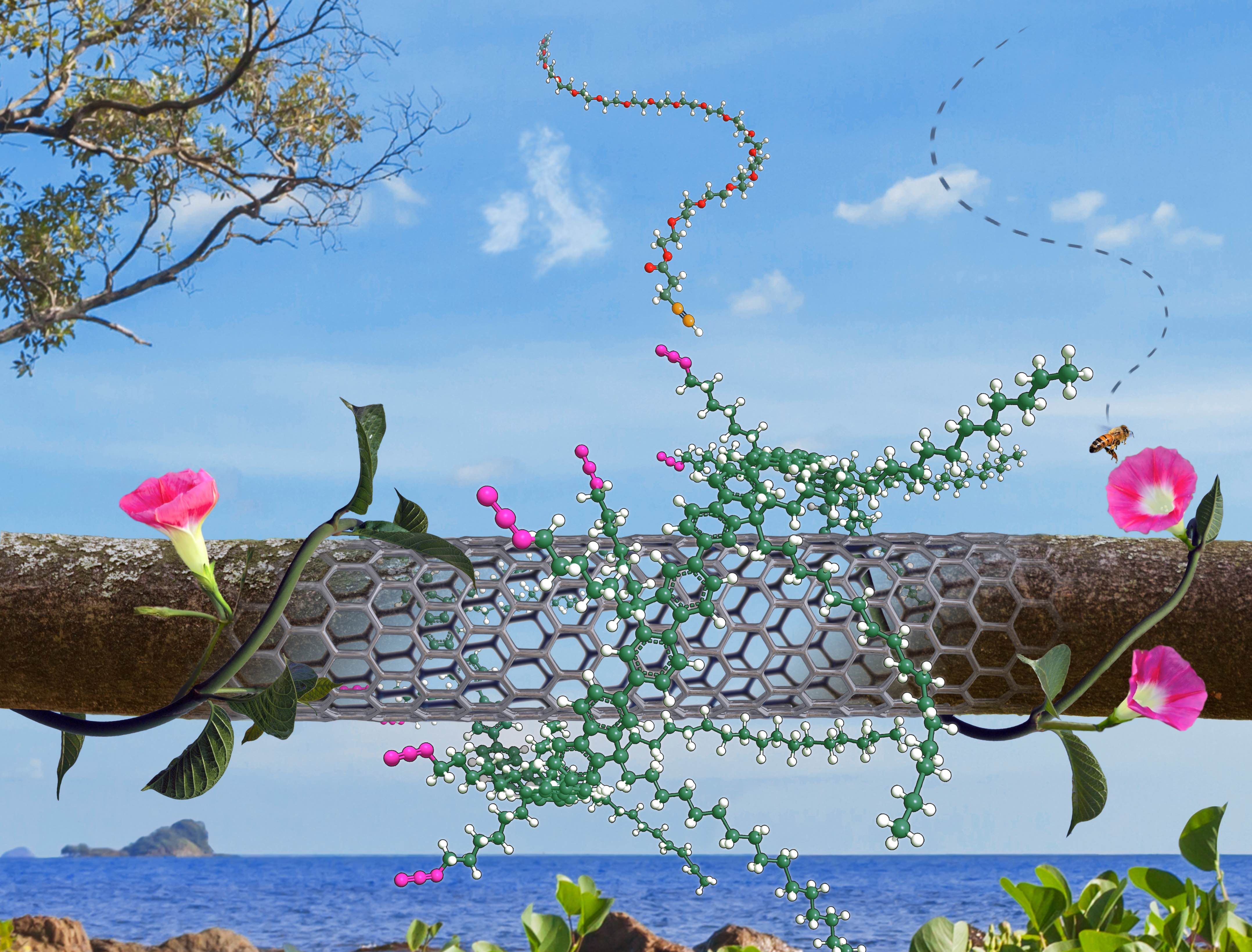 <i>Cover Gallery</i>