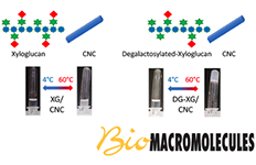 ACS Biomacromolecules Talantikite 2020