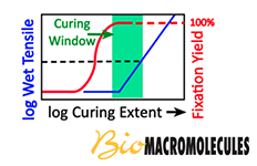 ACS Biomacromolecules Zhang 2021